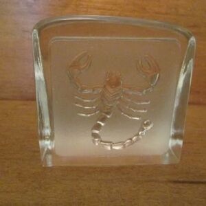 Scorpion Glass Paperweight